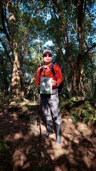 安坑五山縱走2784631