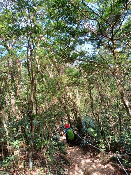 【屏東獅子鄉】海天一色。 台灣百大必訪步道~里龍山自然步道2550783