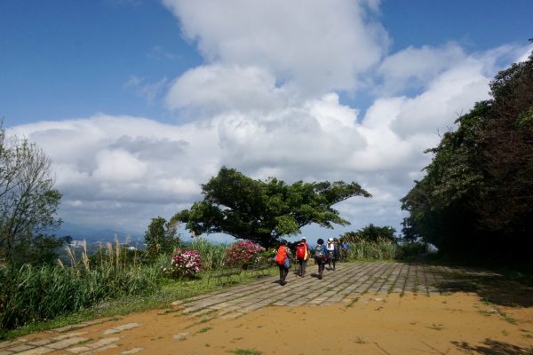 淡蘭古道北路（官道）855077