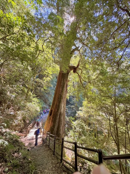 漫遊大雪山森林 訪尋雪山大小神木 快閃天池2922776