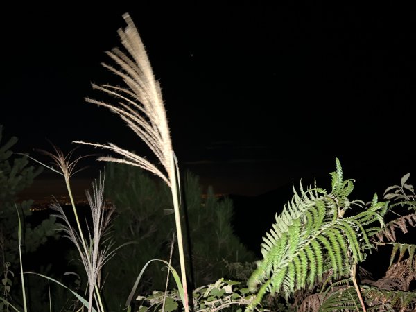 東卯山頂野營體驗 夕陽 星空 日出一次滿足1855390