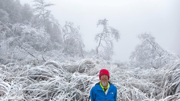 我的2025 第三場雪 #翠峰湖步道 #望洋山 #金翼白眉  2/92708856
