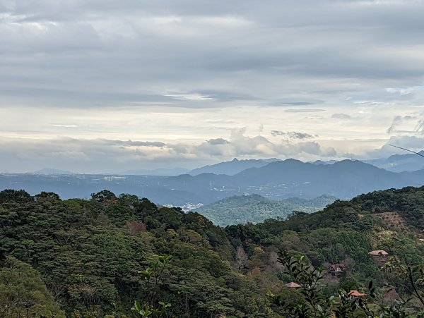 【百大必訪步道】飛鳳山、觀日坪古道1982005