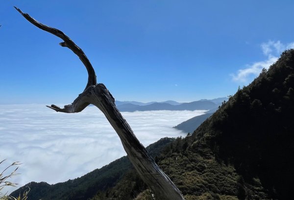 一日南橫二星人品爆發封面