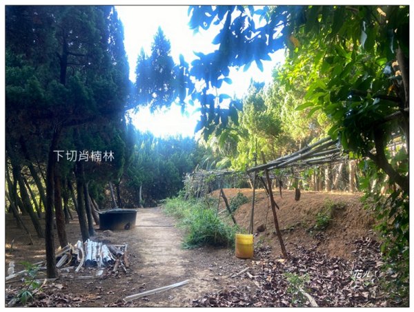 乞食崙 ( 台中/大肚山 )2937404