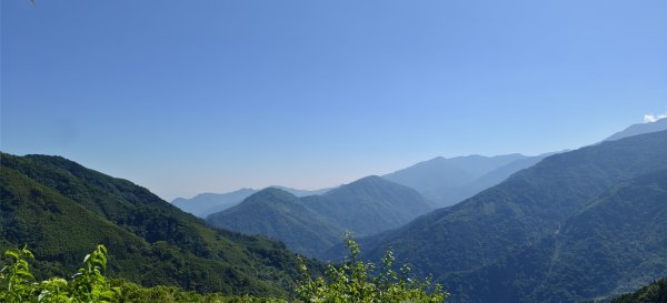 2026/05/31_白蘭溪古道O型3066873