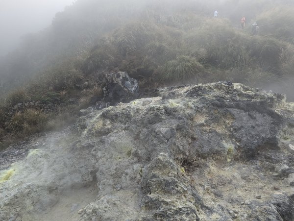 2023-11-19 臺北大縱走第三段2793042