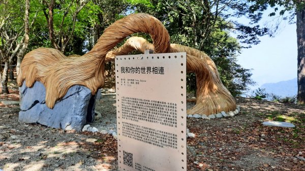 《台中》訪一葉蘭｜大雪山210林道（船型山林道）上烏石坑山202304122111363