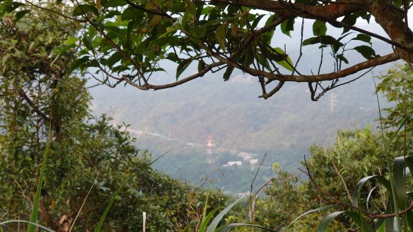 臺北大縱走第六段1779609