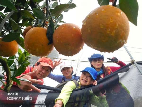 小百岳馬那邦山(H1407m)加碼採草莓2694684