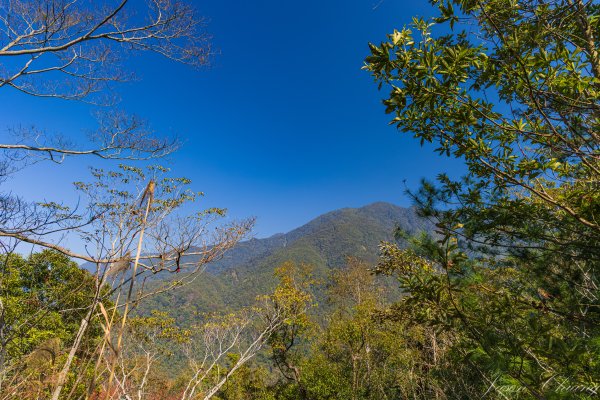 谷關七雄_唐麻丹山3015637