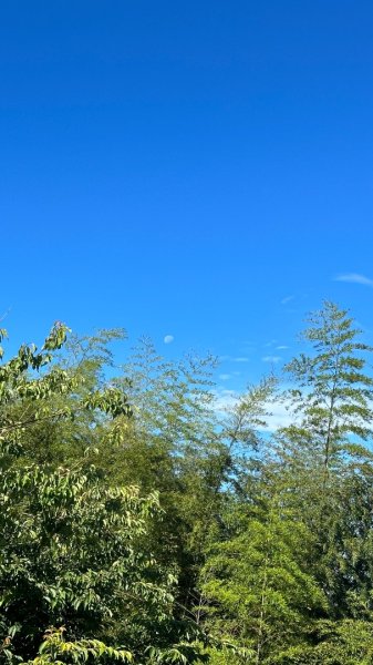 隙頂二延平步道2798965