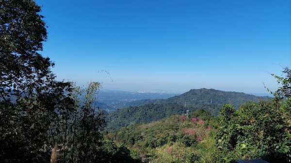 五指山橫向登山步道2114094