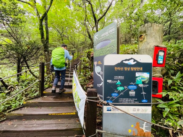 1140811 KR 漢拏山杜鵑花田避難所-紗羅岳觀景臺2860194