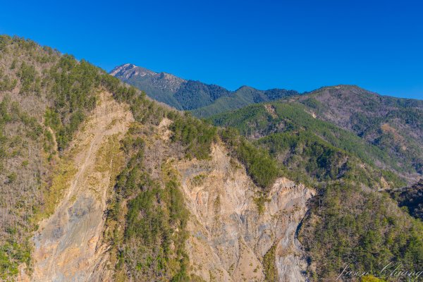 福壽山千櫻園櫻花盛開2724923