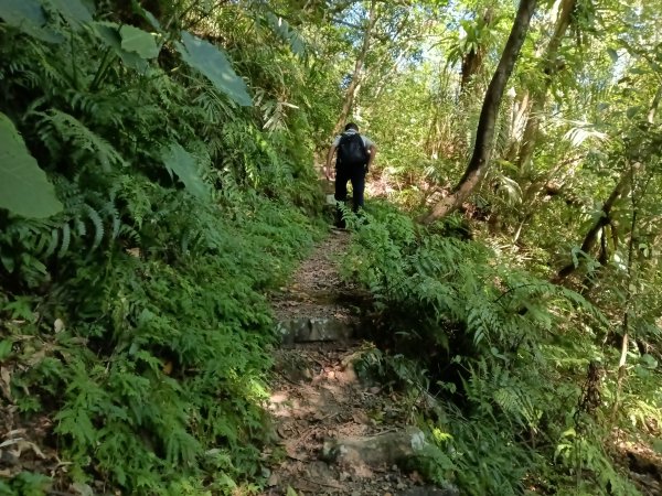 坪林區南闊瀨行(枋山坑古道+枋山坑崙+闊瀨越嶺保甲路O型)2916754