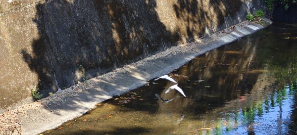 2025/09/13_貴子坑親山步道2884143