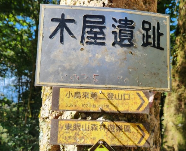 【中級山】插天山的奇幻世界，赫威山，赫威神木群步道2741290