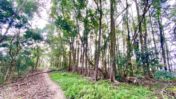 刣牛湖山(小百岳#70)2730739