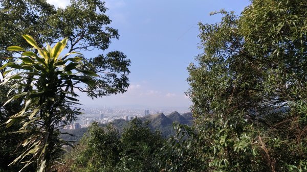 鯉魚山+忠勇山+大崙頭尾山+圓覺寺步道519524