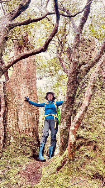 🌈4/13（日）（三）魔法森林-塔曼山~FB：熊熊趴爬走🌈2761306