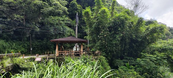 新竹內灣．馬胎古道202506212823546