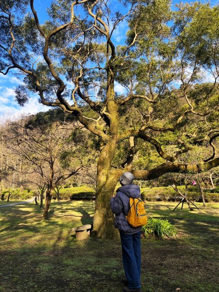 幸福五感森林癒2694306