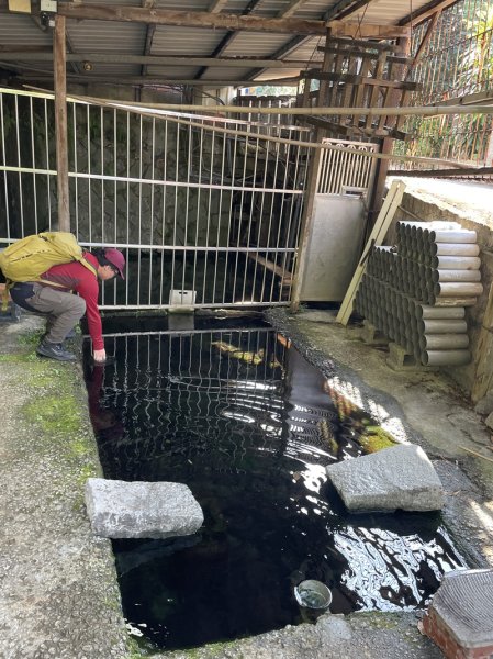 陽明山六瀑連走2877705