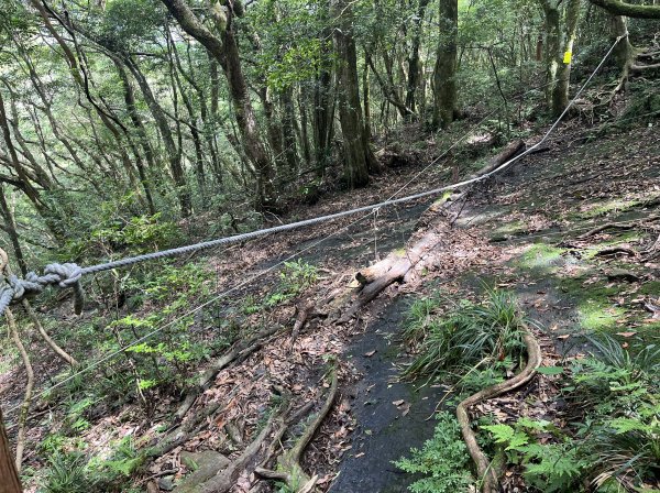 2025_0601 北插天山2802346