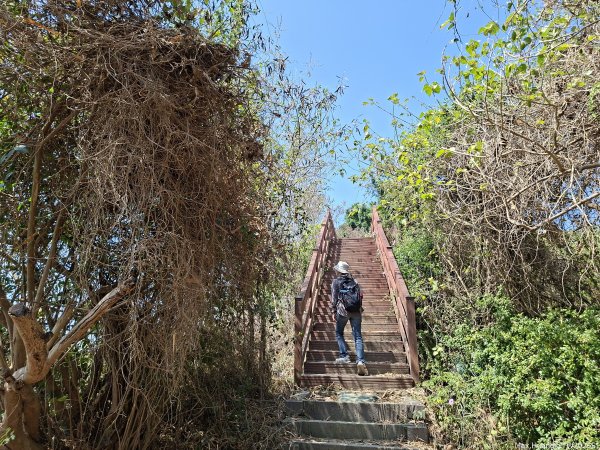 《高雄》泥岩惡地｜漯底山自然公園大O繞順訪永安、茄萣濕地202603133014671