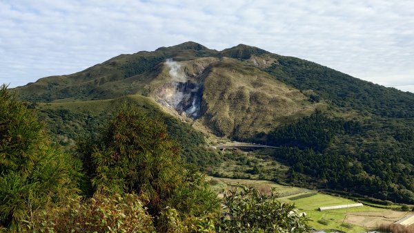 20260125 陽明山前後山健行(無極天元宮~山仔頂步道.向天池.向天山.面天山.二子坪)2998080