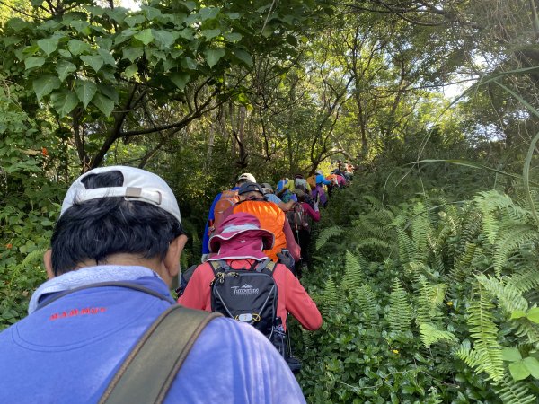 《踏青北投｜捷運唭哩岸到新北投・串走奇岩山、軍艦岩、幸福石》2979015