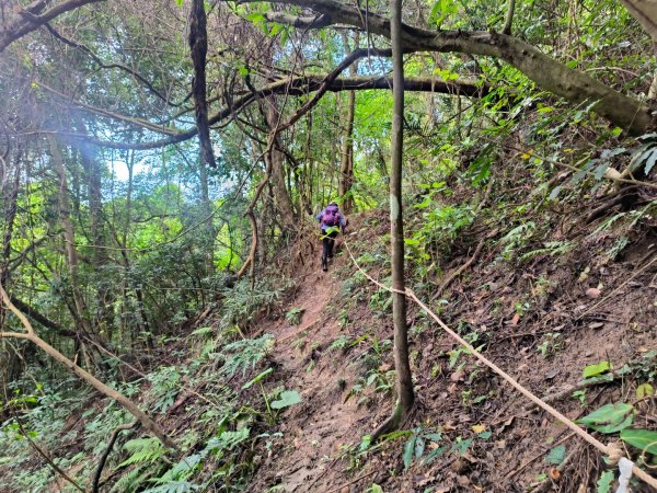 1130608 倒別牛山O繞飛鳳山2524090