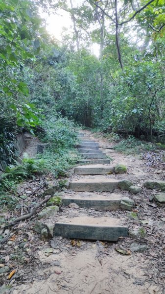 西湖捷運站-金面山-大崙頭山-圓覺-大湖公園捷運站2588688