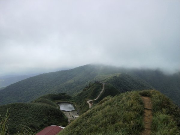 抹茶山♥柴柴奇遇記1080915