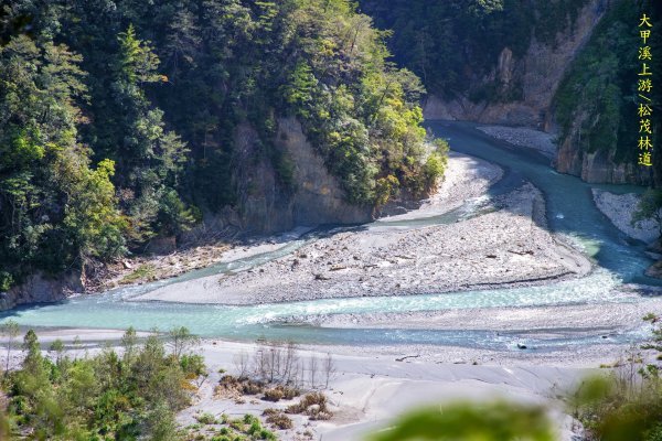 大小劍-油婆蘭全紀錄2674209