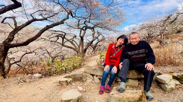 🌈1/17（六）蔡家古厝賞梅×梅子夢工廠×車埕老街✨FB：熊熊趴爬走🌈2983936