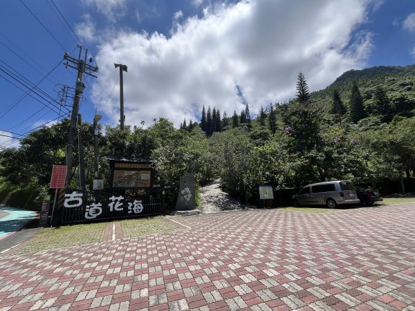 [山頂鳥40周年會員大縱走-05/15] 2024_0706 梅峰古道2546044