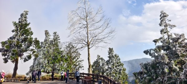 #霧淞 #雲海 #雲瀑 #霧虹 #太平山 #望洋山 #觀雲步道 #翠峰道路  2/82995371