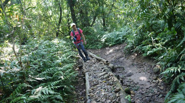 松蘿湖單攻登山健行趣（步道）1522168