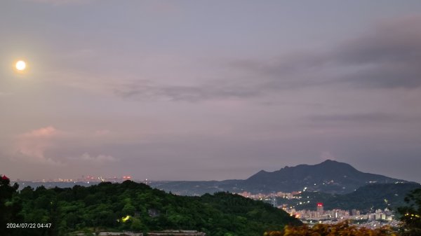 雲山水花鳥蝶 - 天龍國阿伯的日常7/18 & 21、22、292556636