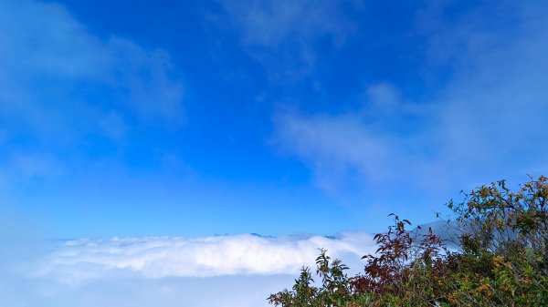 鳶嘴山美呆了~滿滿的雲海~1884274