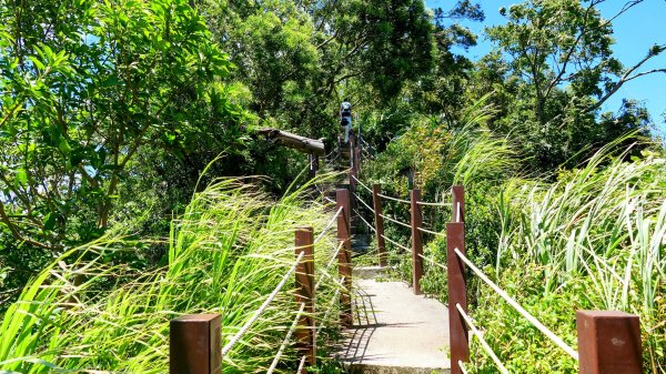 微笑山線烘爐地土地公段2860646