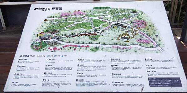 202102 熊空茶園 & 熊空山初體驗1271117