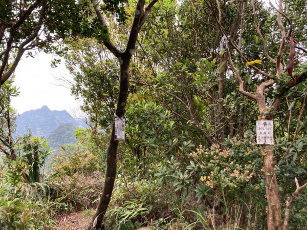 【皇帝殿登山步道】北峰登山口→石霸尖→小霸尖→東峰→天王峰→西峰→湳窟山步道→西峰登山口→石碇老街1654925