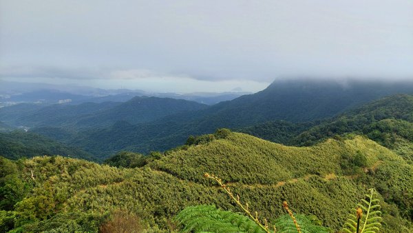 基隆聖稜線-陡不停的五四大縱走2787819