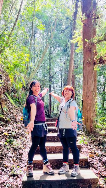 🌈17（日）雲嶺之丘+五元二角+木馬古道✨FB：熊熊趴爬走🌈2861682