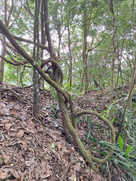 仙山古道群峰O型2693656