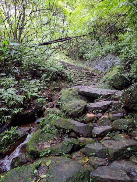 平溪五分山1142533