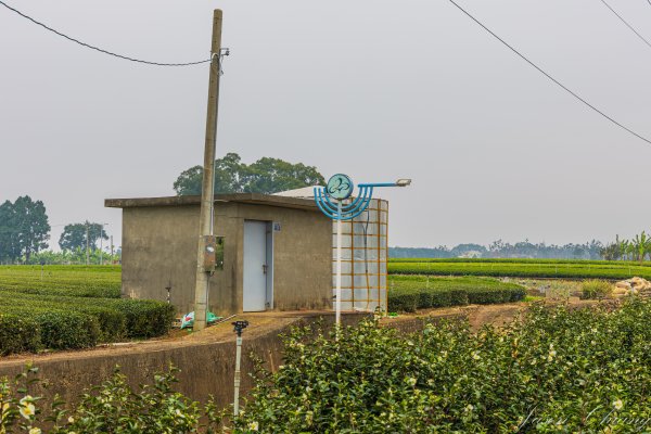 [南投]松柏坑山2683277